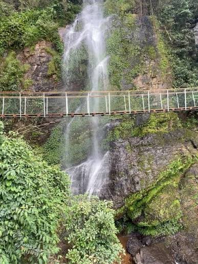 Amedzofe Canopy Walk