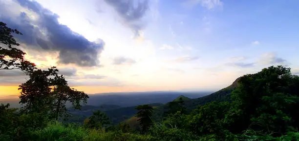 Goaso Forest Reserves
