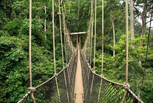 Kakum National Park