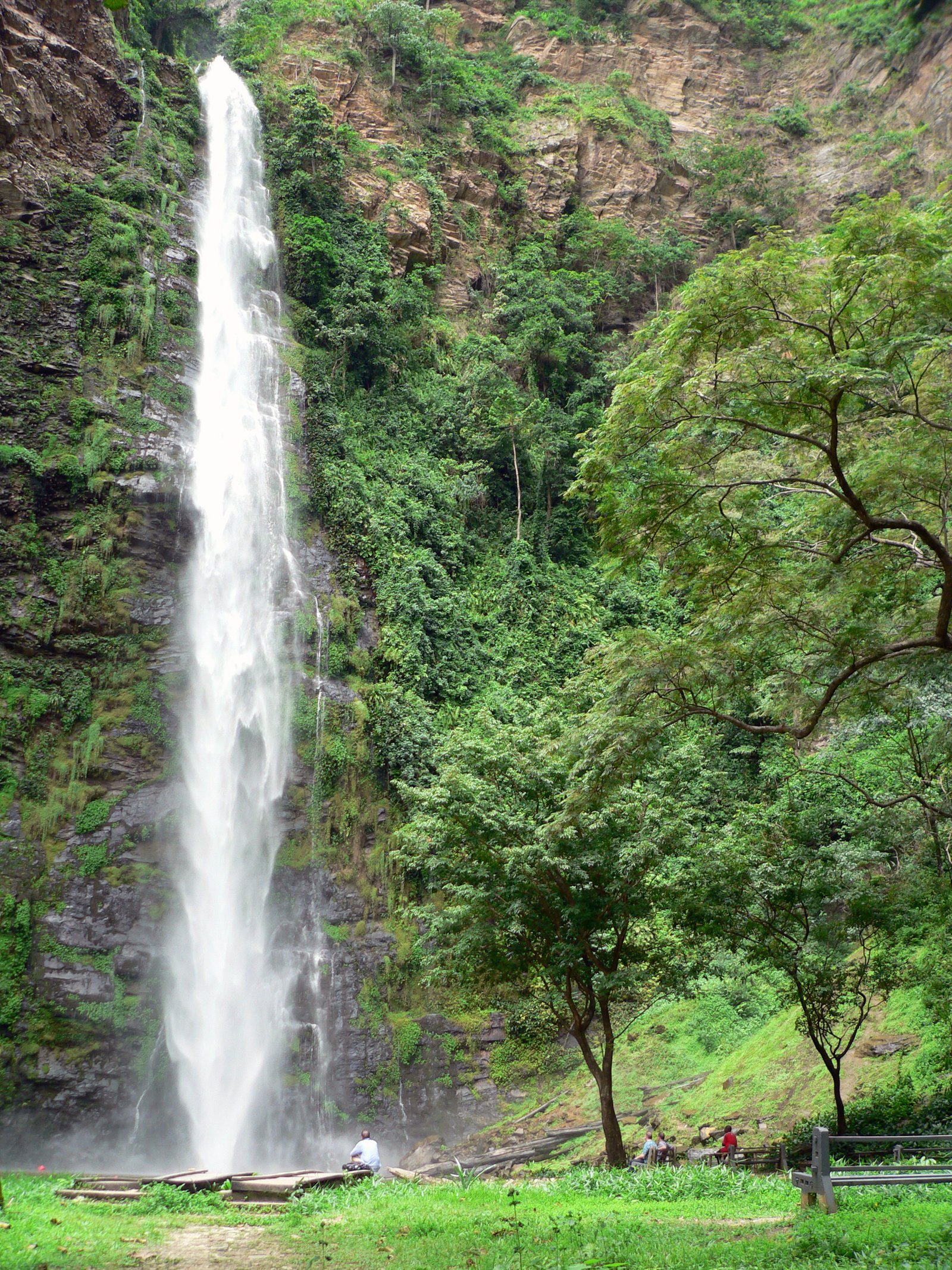 Explore Volta – Amedzofe canopy walk and Tafi Atome monkey sanctuary